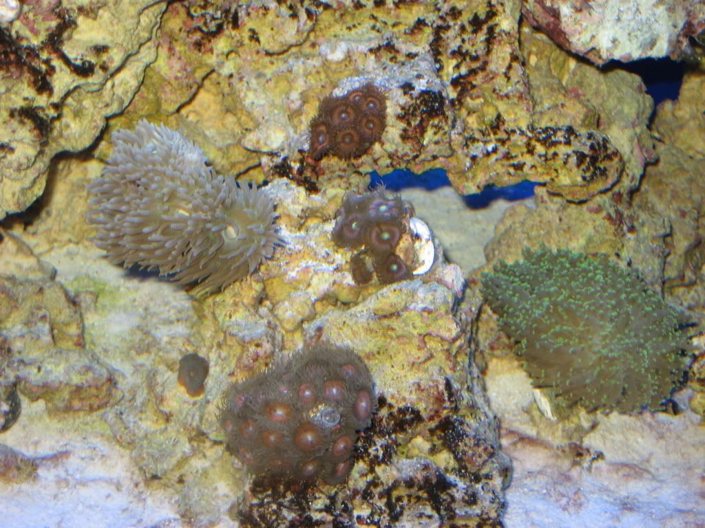 IMG_7508.jpg