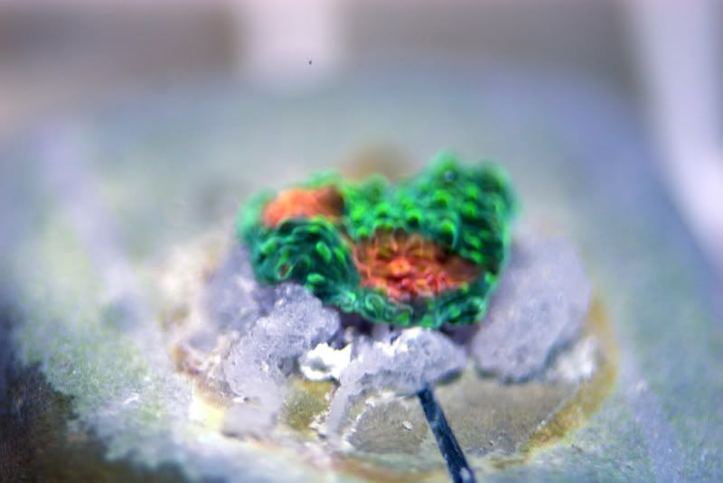DSC_0083_edited.jpg