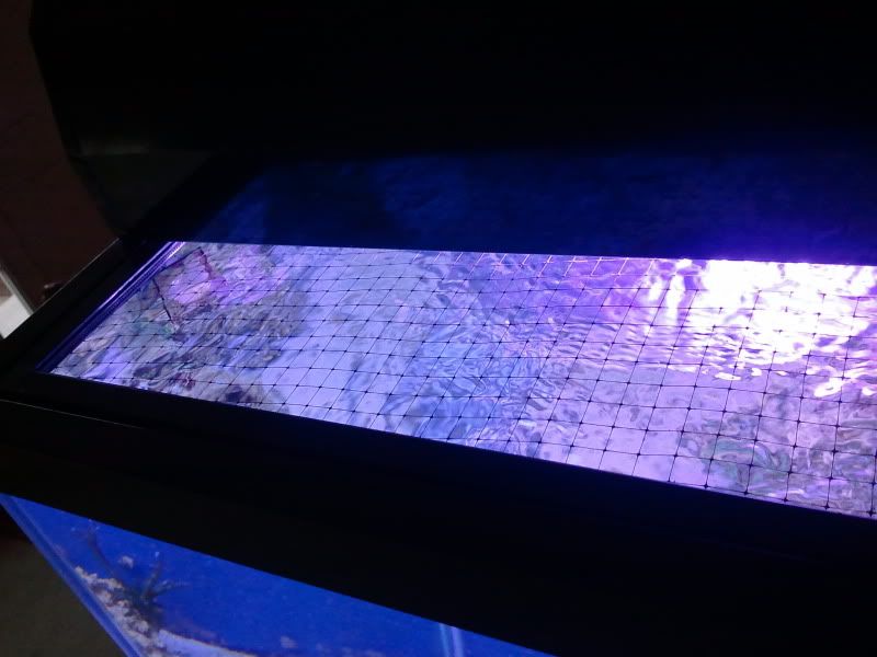 2011-05-16125540.jpg