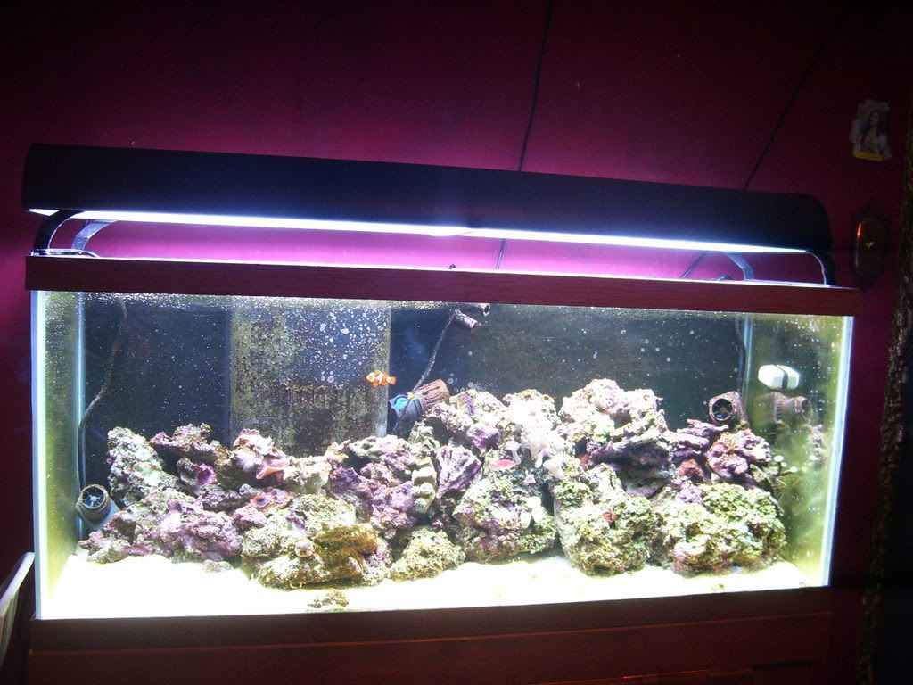 100_2135.jpg