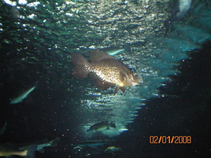 100_0171.jpg