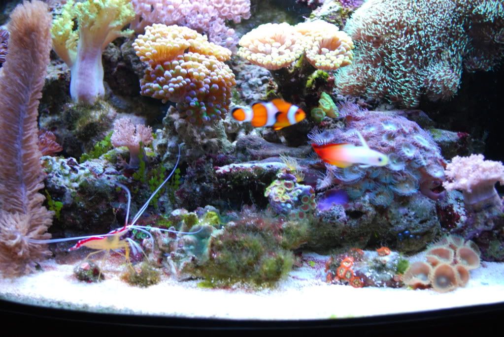 DSC_1503.jpg