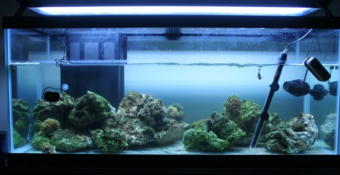 75gallon.jpg