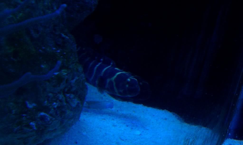 IMAG0221.jpg