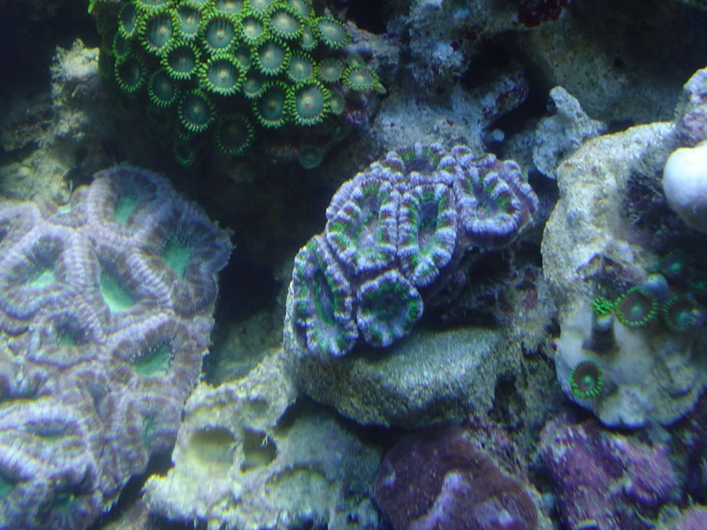 Picture004-1.jpg