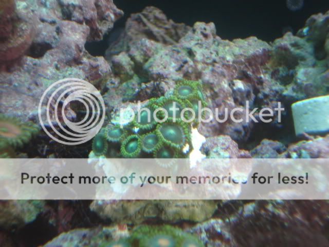 DSC06596.jpg