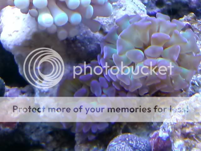 CAM00084-1.jpg
