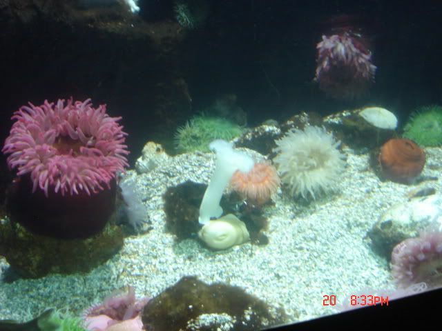 DSC01375.jpg