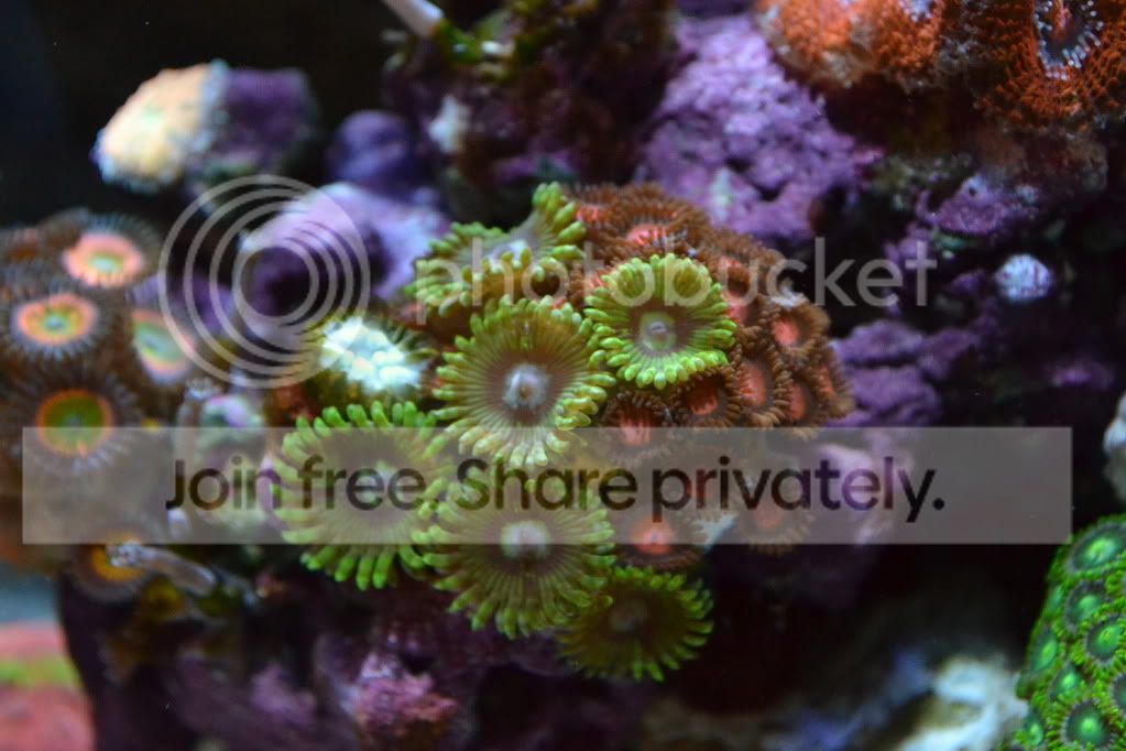 nanoforsale002.jpg