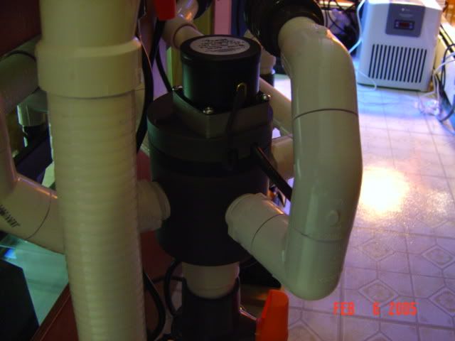 DSC00754.jpg