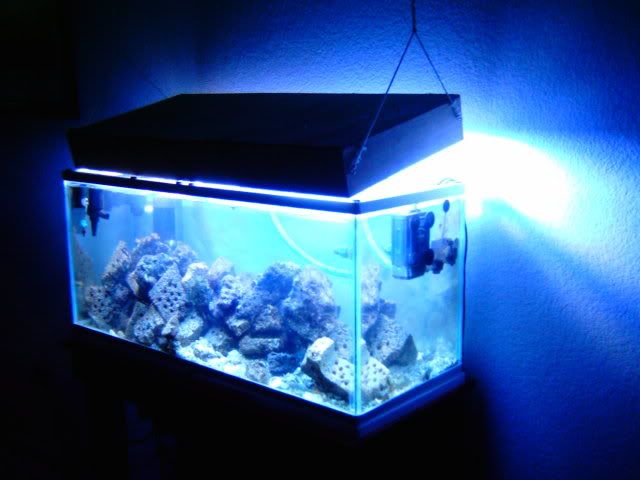 IMAG0029p.jpg
