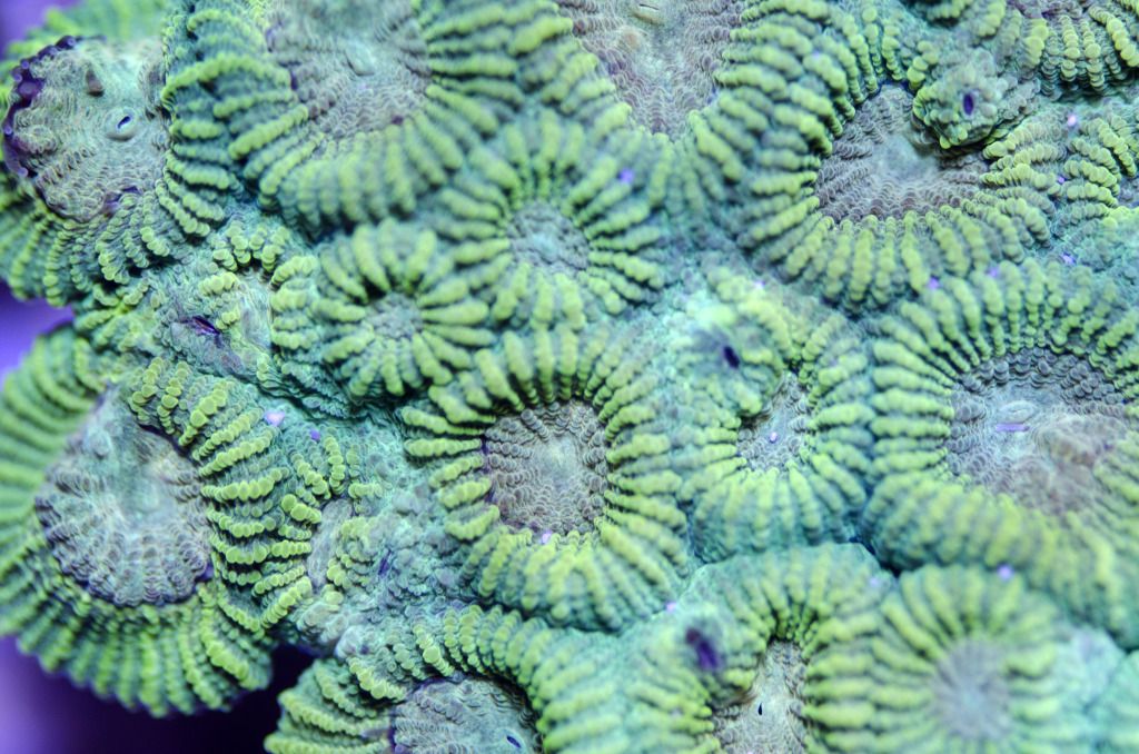 DSC_0009.jpg