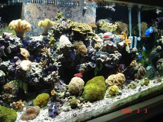 DSC02909Small.jpg