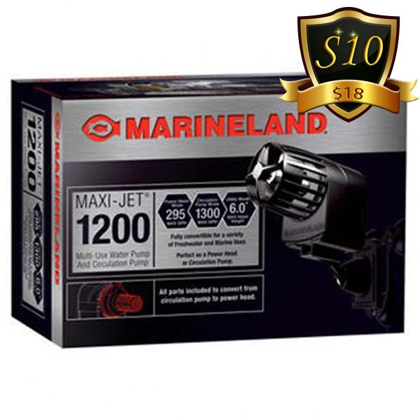 S10_zpsb1b975b0.jpg