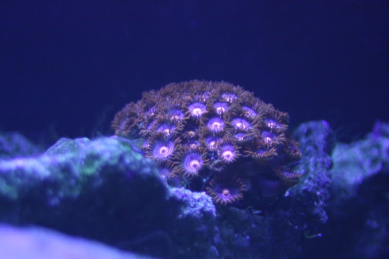 a4d97cd9.jpg