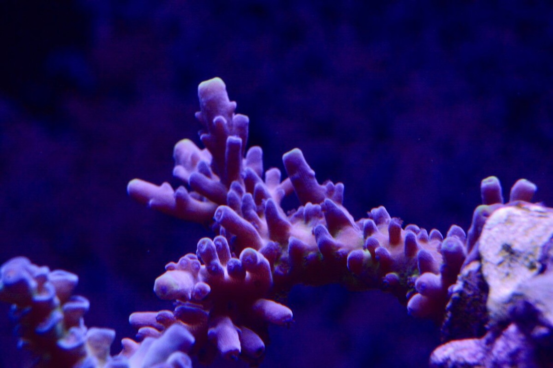 f60c053363487990fd5e588887bd825c.jpg