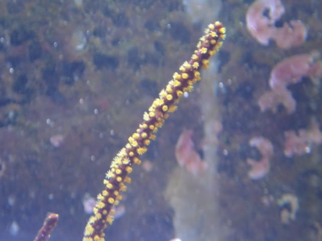 DSC03510.jpg