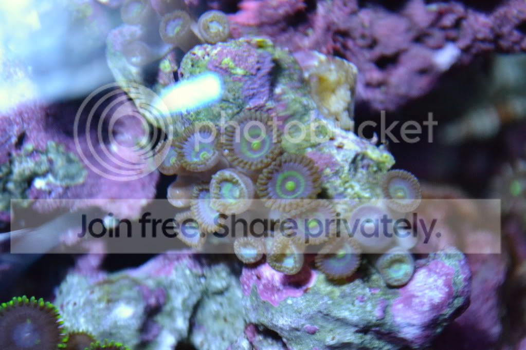 nanoforsale041.jpg