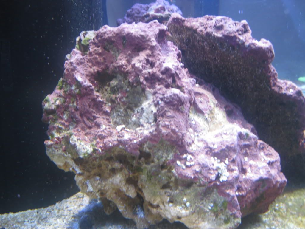 004-6.jpg