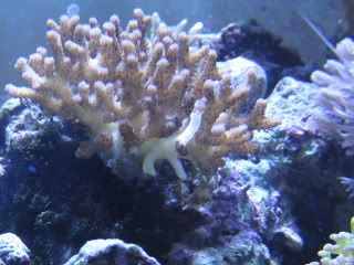 IMG_1026.jpg