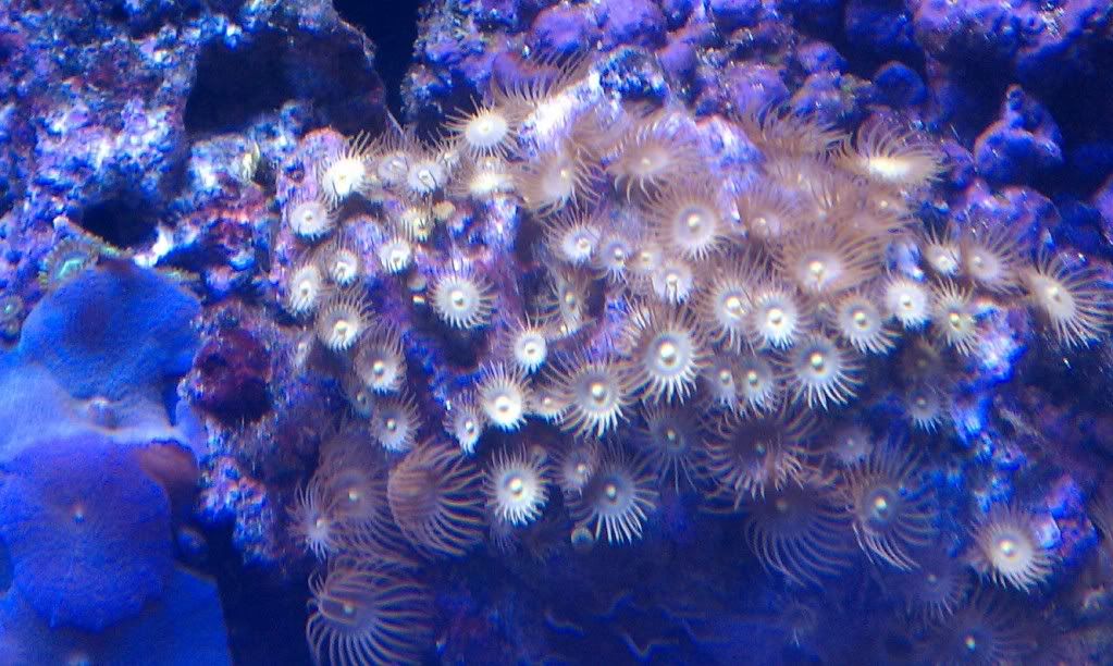 IMAG0507.jpg