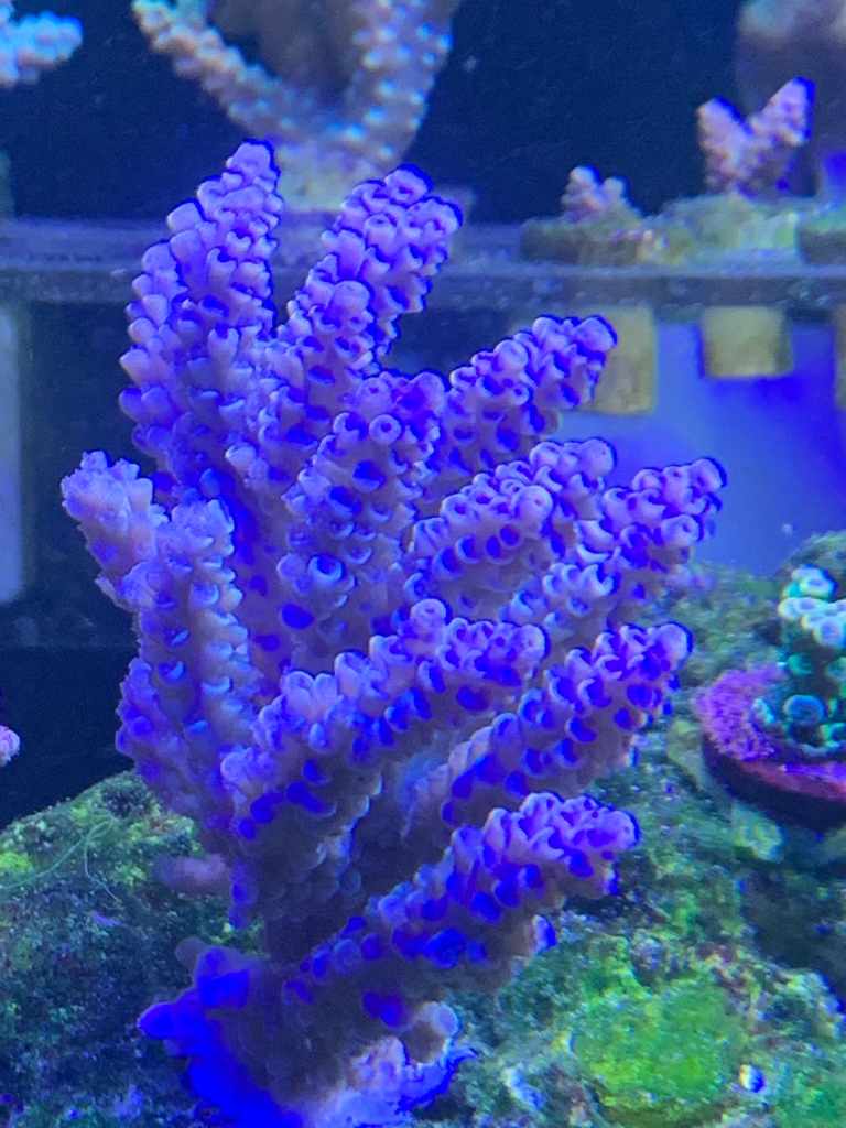 e78d43c36f01697b7173b45655e26d97.jpg