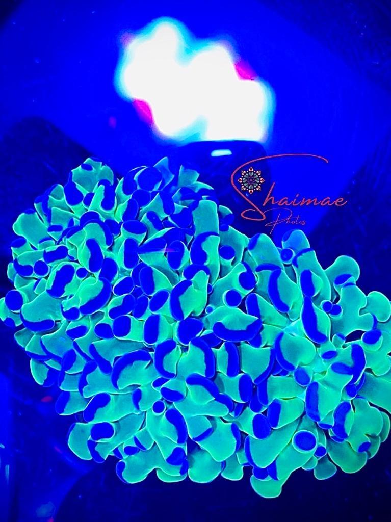 2af57db87a64a2e1df7ca4ab77d99d1b.jpg