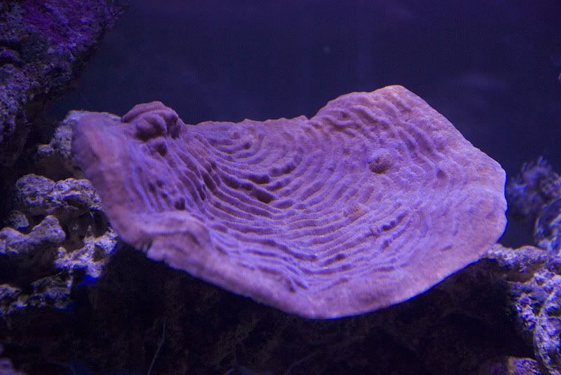 DSC_4291.jpg