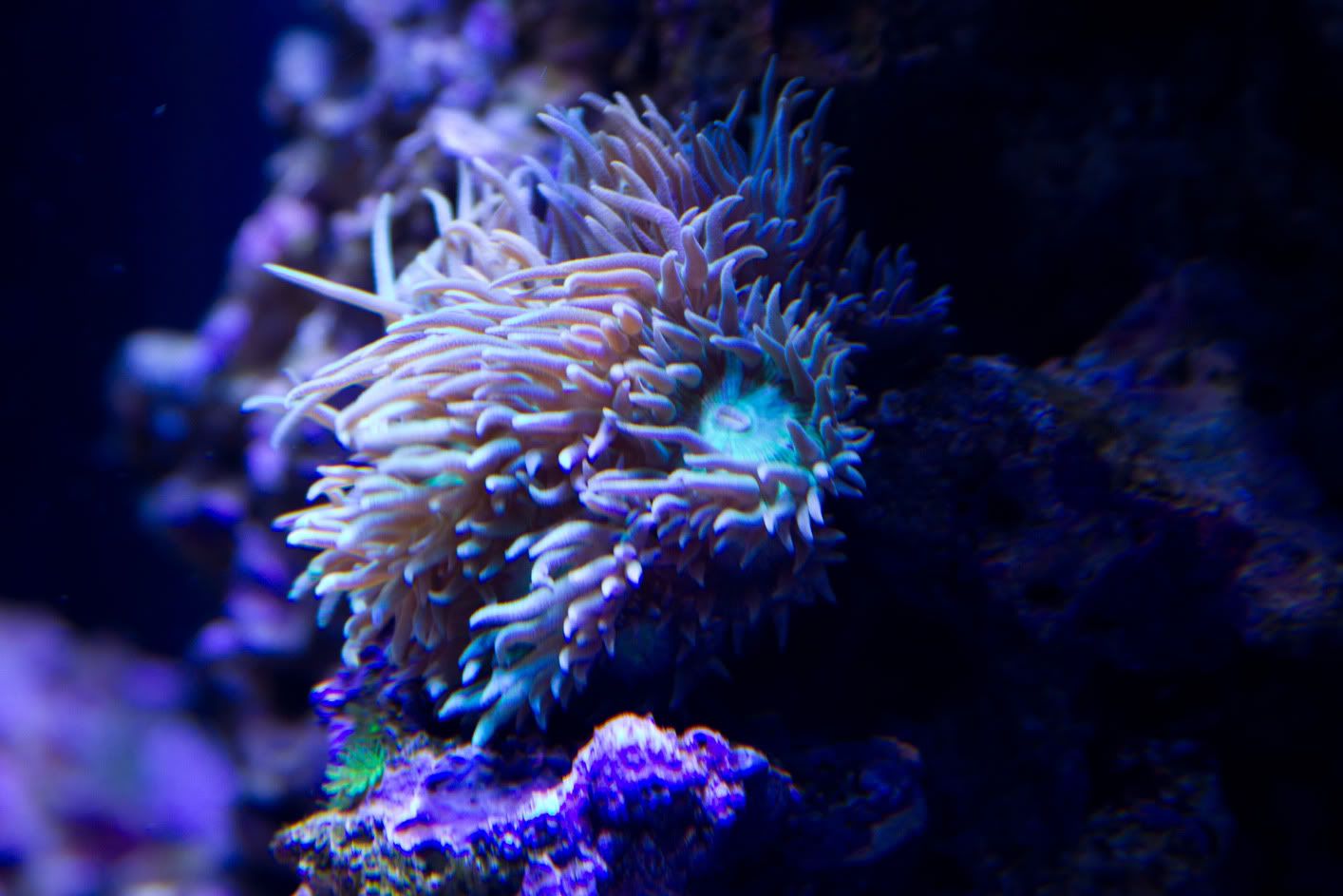 AQ1E9795.jpg