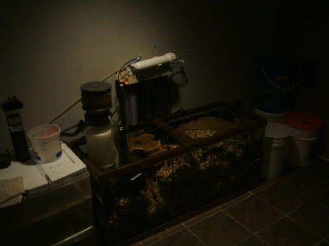 Rock2008_0317001.jpg
