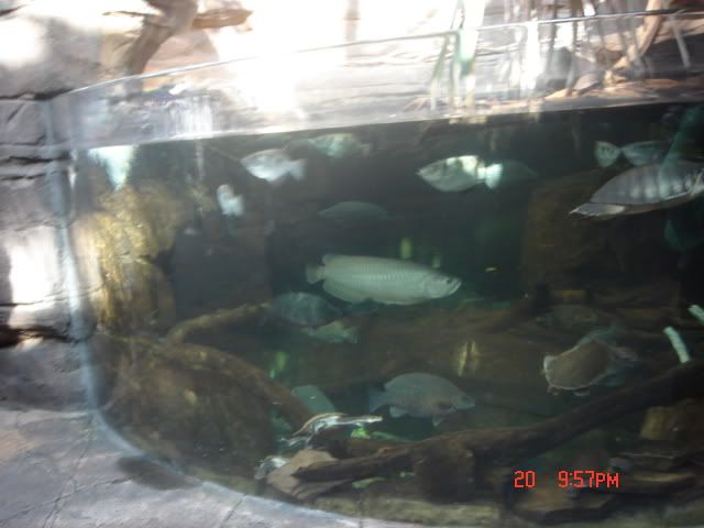 DSC01489.jpg
