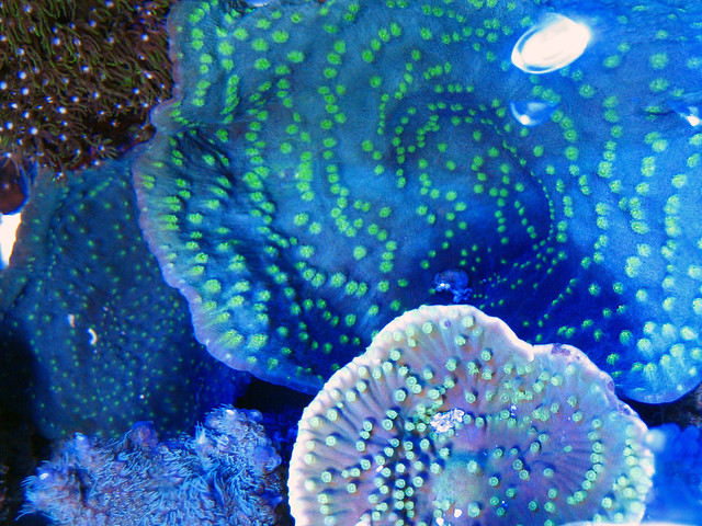5657618450_35840a0c8f_z.jpg