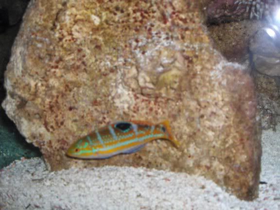 HPIM3412.jpg