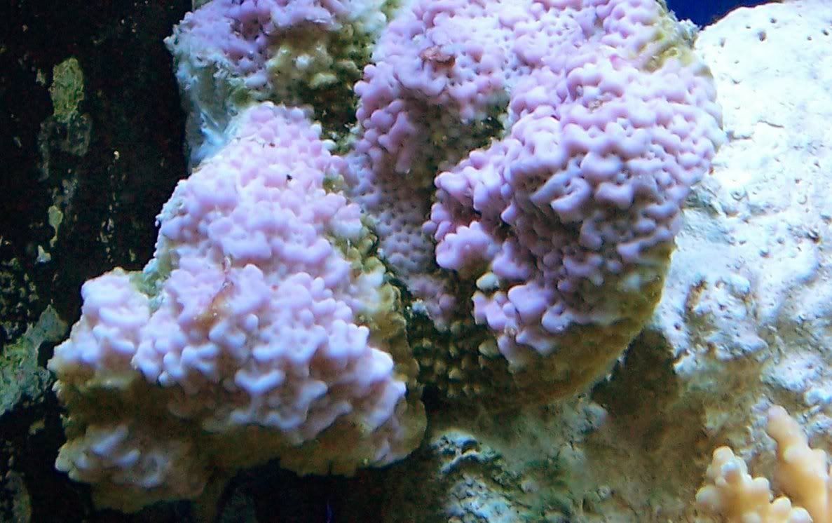 000B35041.jpg