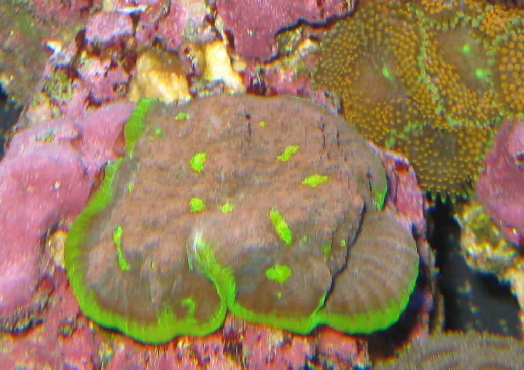 IMG_0935.jpg