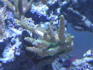 IMG_1084.jpg