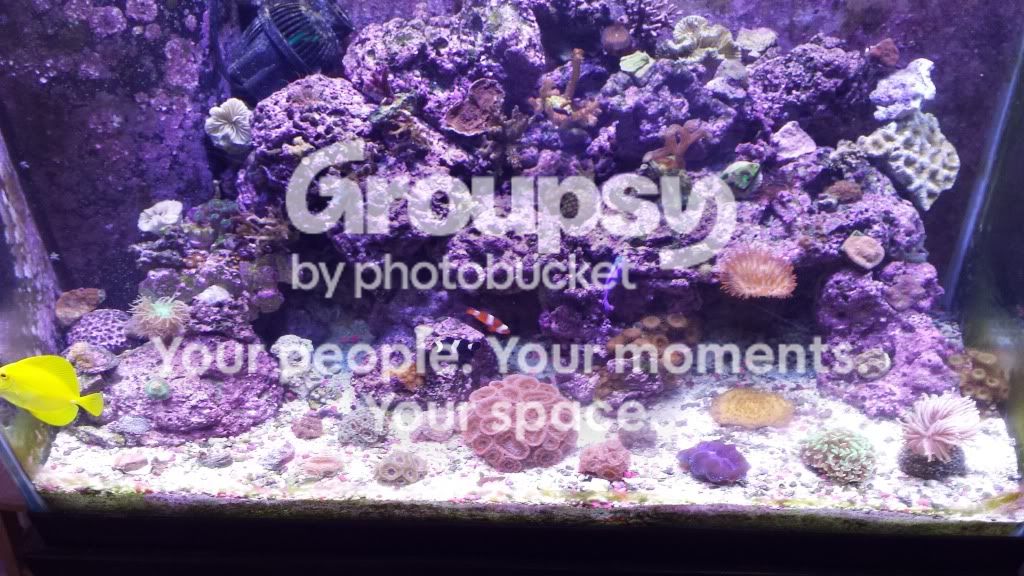 20130909_141033.jpg