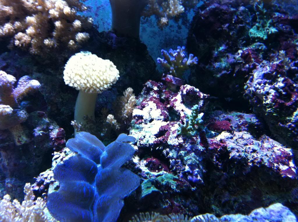 IMG_1570.jpg