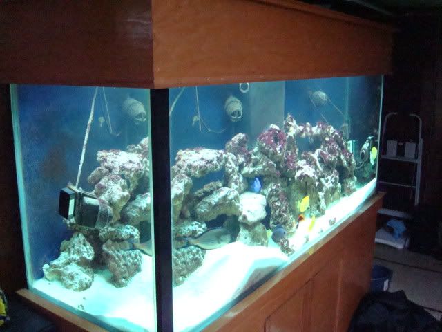 DSC03836.jpg