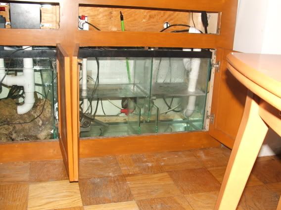 2006_061355g-Sump0005.jpg