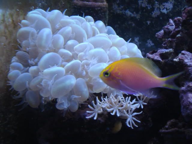 DSC03434.jpg