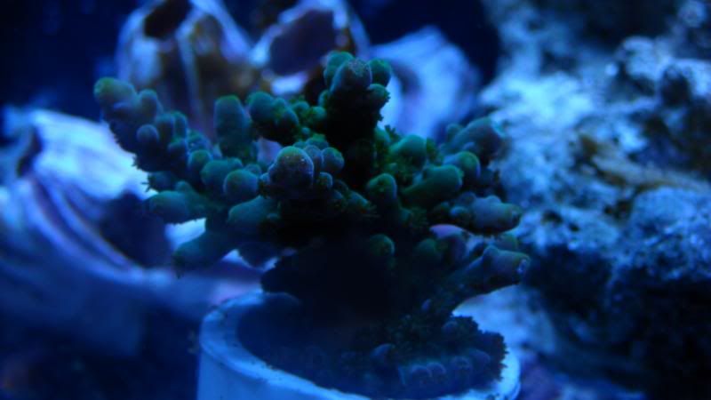 DSCN1324.jpg