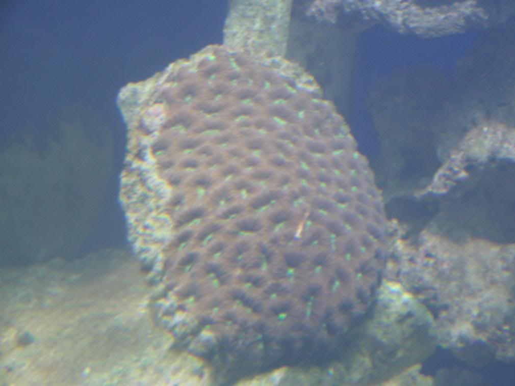 jayfish031-2.jpg