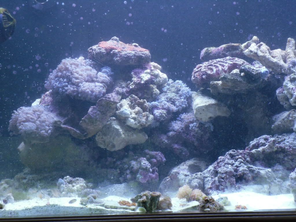 SDC10268.jpg