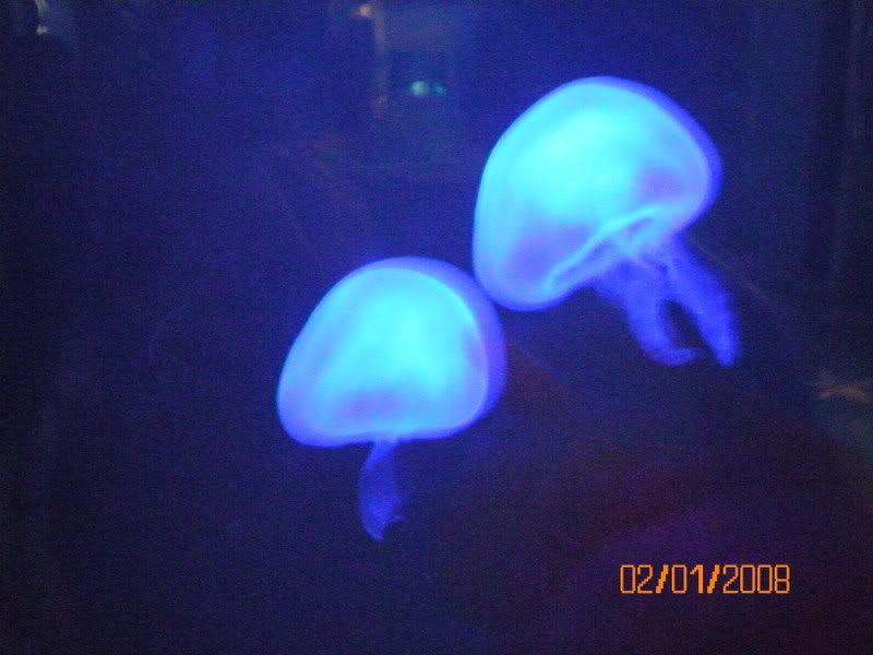 100_0130.jpg