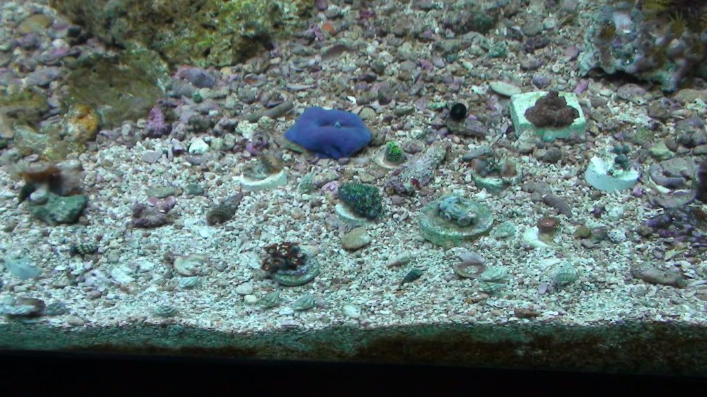 DSC00396.jpg