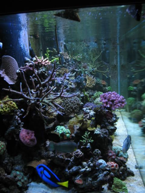 tank020933.jpg