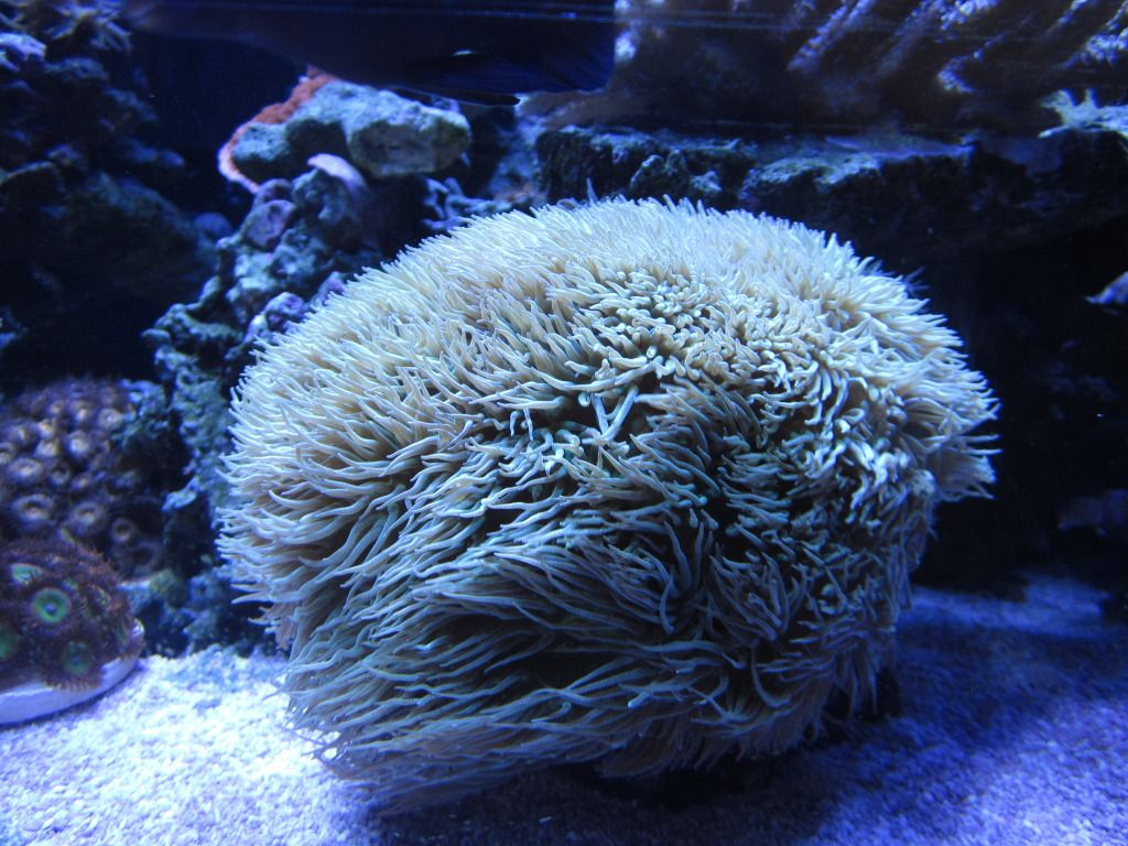 IMG_0709.jpg