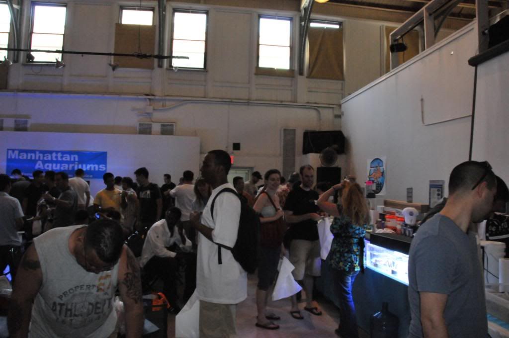 swap071.jpg