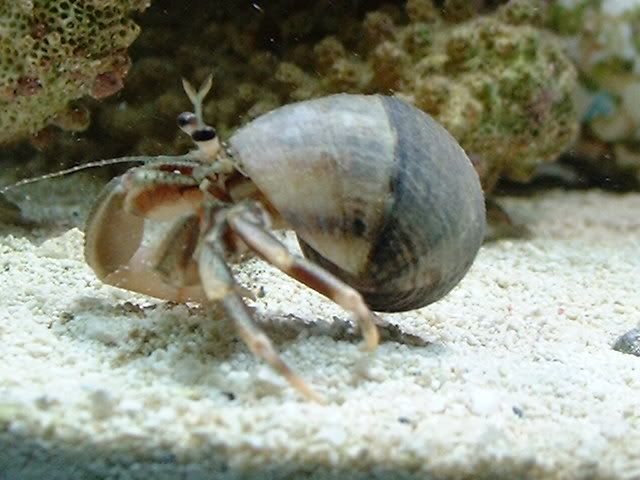 pics015.jpg